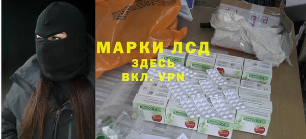 молекула духа Арсеньев