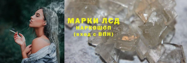 индика Армянск