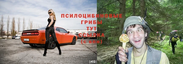 кокс Аркадак