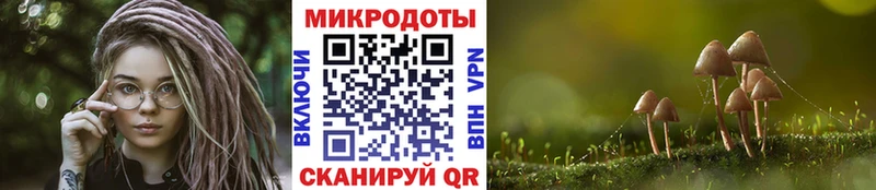 магазин наркотиков Пошехонье Галлюциногенные грибы Psilocybe